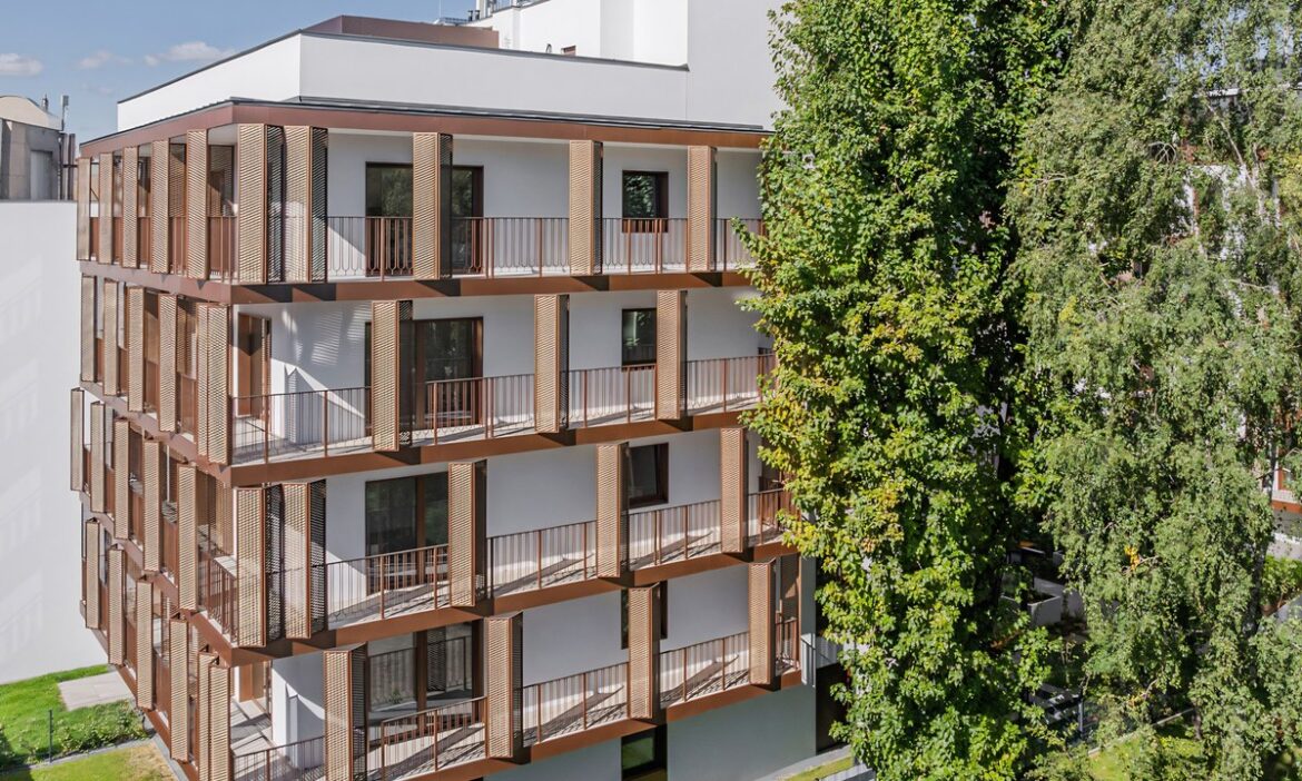 Taczaka 5